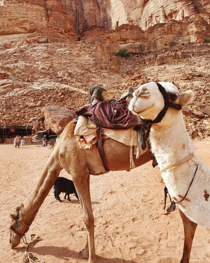 Bedouin Memories Camp Bed & Breakfast Wadi Rum Exterior photo